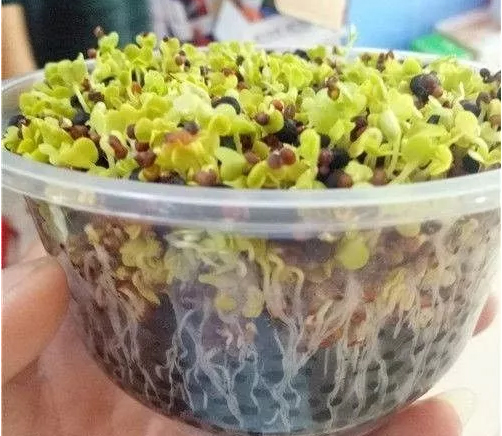 學會從4個方面來辨別生物有機肥(圖1) 生物有機肥